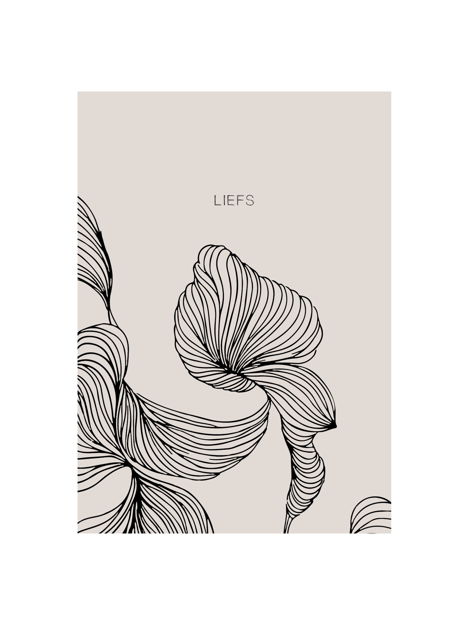 Kaart - LIEFS