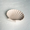 Schelp Schaaltje